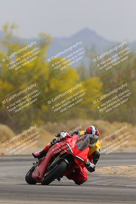 media/Apr-12-2025-Race Pace (Sat) [[9230add55f]]/Vested/1-Turn 2 (10am)/